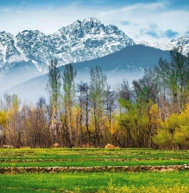 Himachal Manali Shimla Tour From Jammu