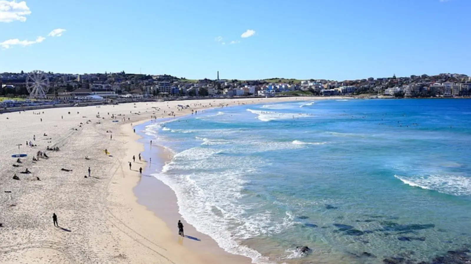 Australia Wildlife & Coastal Adventure Package