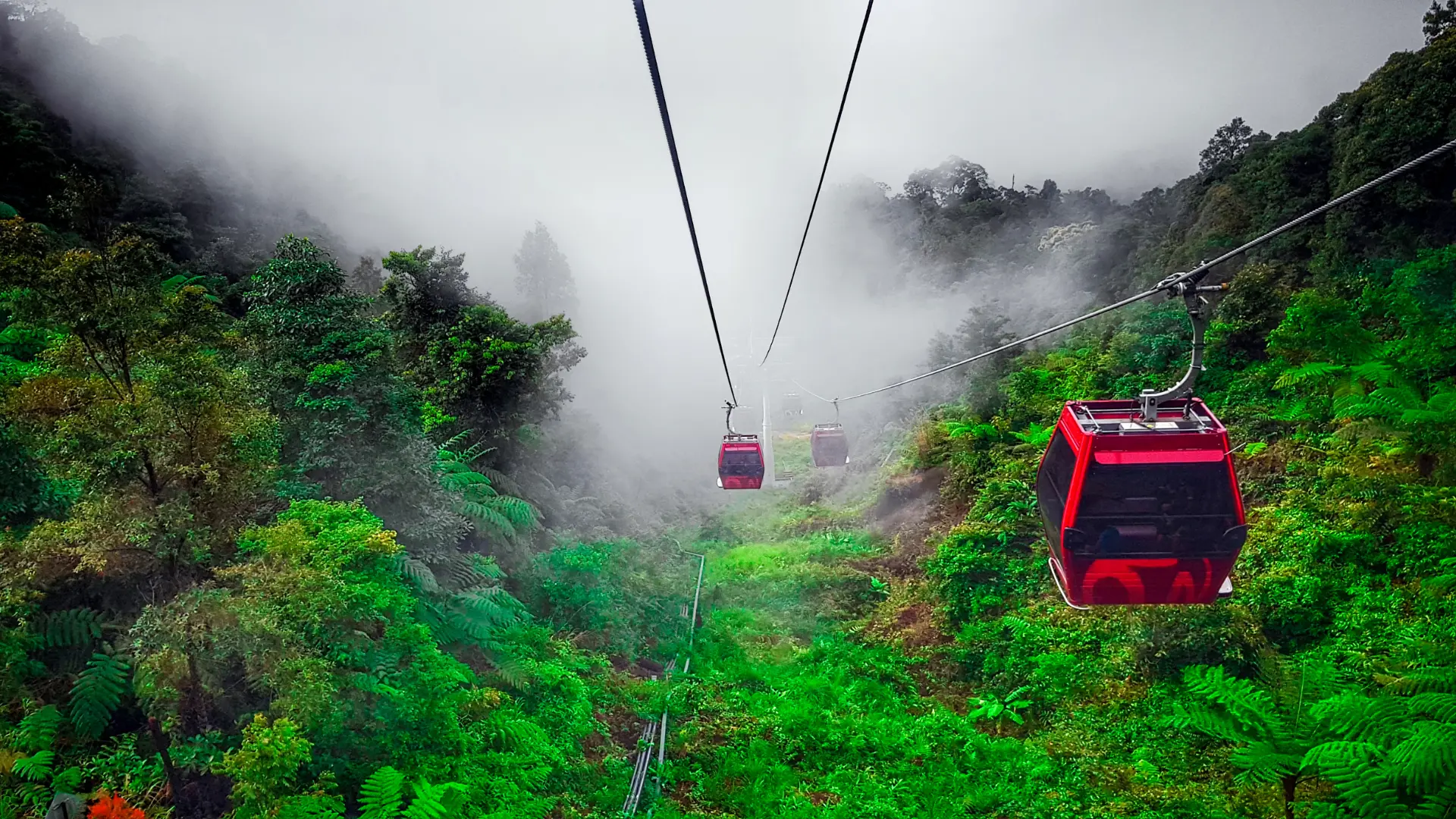 Amazing Malaysia Escape