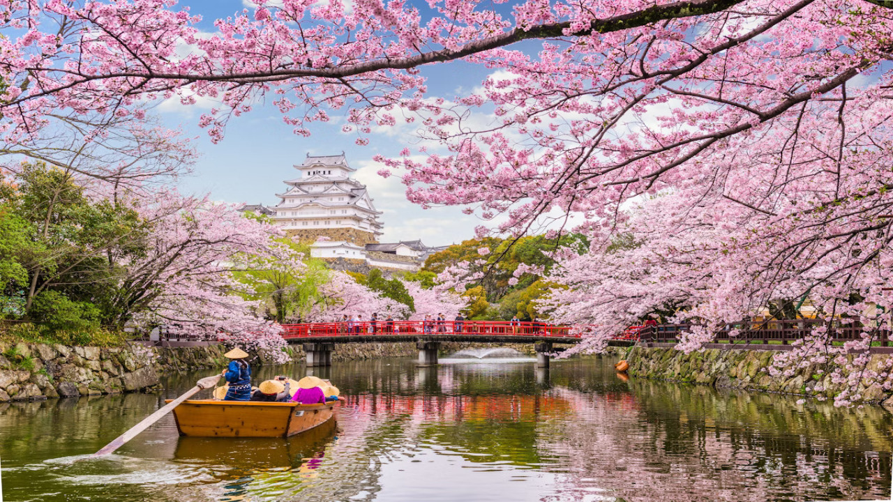 Japan Cherry Blossom & Heritage Tour Package
