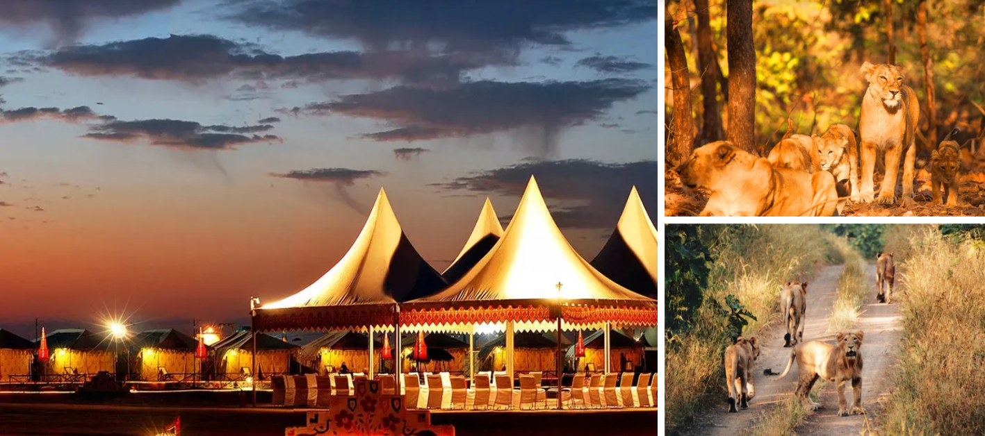 Rann of Kutch with Lion Safari